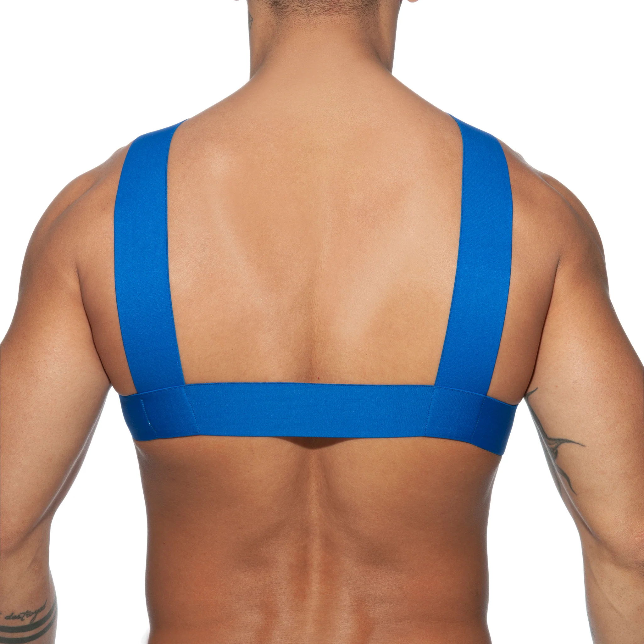 AD Fetish Double Ring Harness Royal Blue ADF116 - Image 3