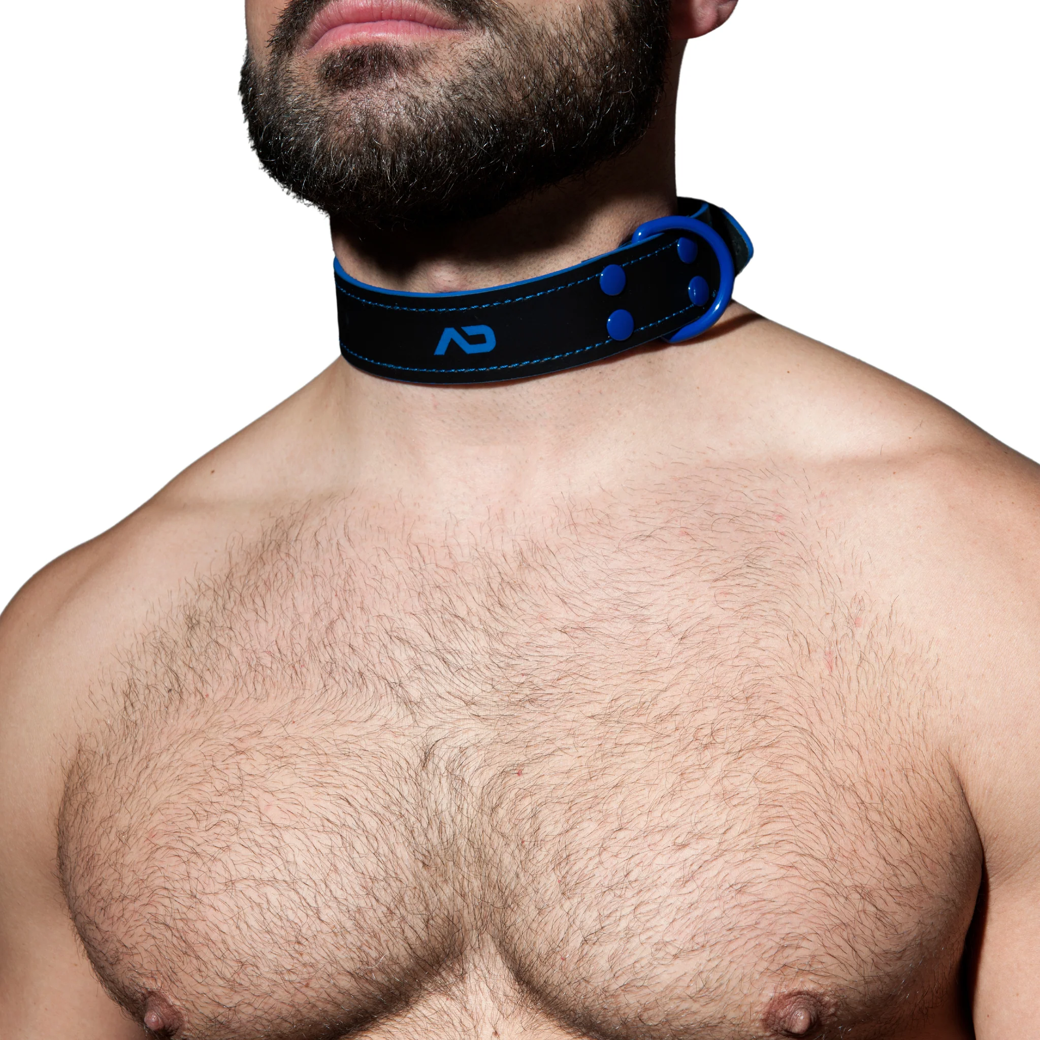 AD Fetish Leather Collar Royal Blue ADF44 - Image 2