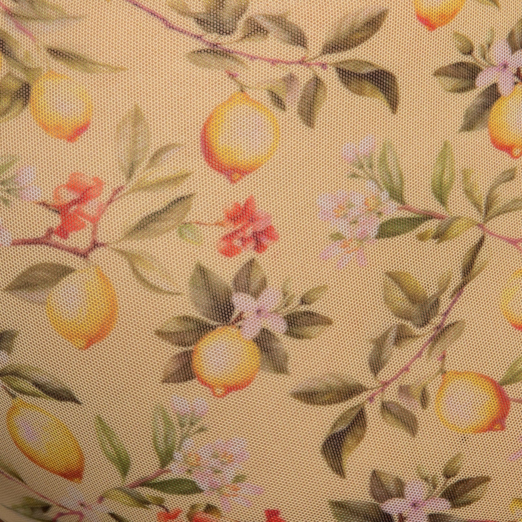 Addicted Lemon Garden Trunk Yellow AD1372 - Image 4