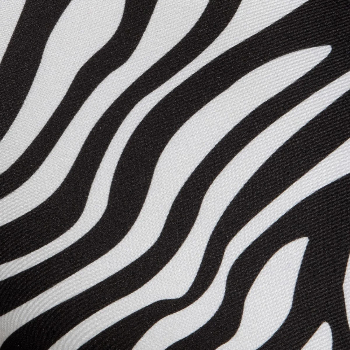 Addicted Zebra Fresh Trunk Black AD2283 - Image 4
