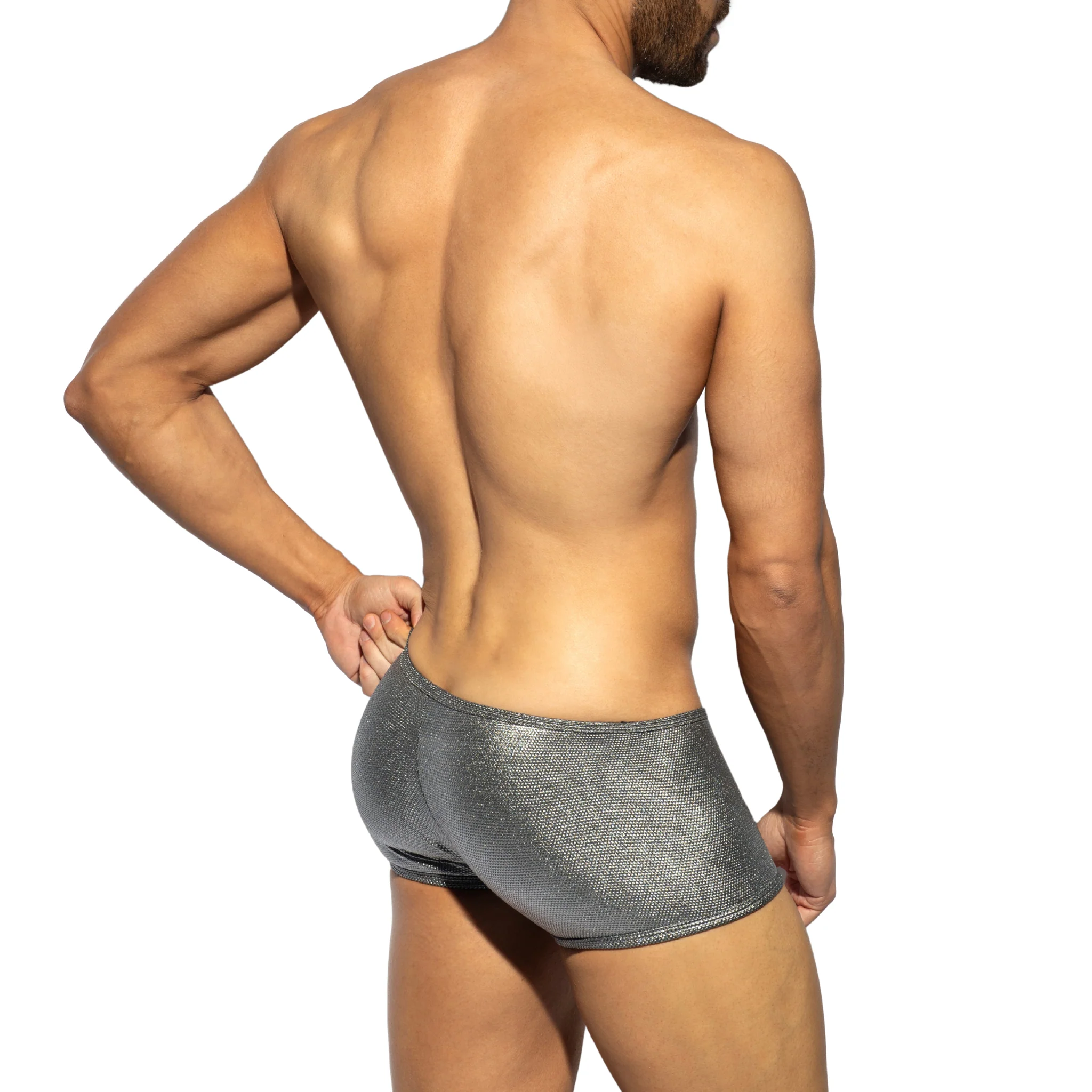 ES Collection Imperial Trunk Silver UN630 - Image 3